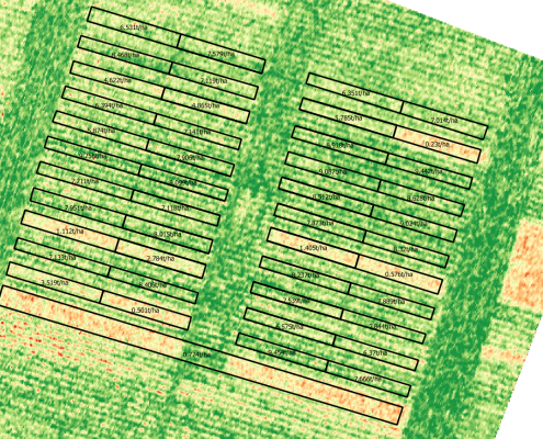 zdjęcie wykonane dronem, przedstawiające ocenę kondycji roślin na podstawi zdjęć NDVI i termowizji