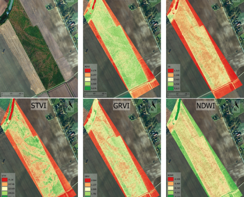zdjęcie wykonane dronem, przedstawiające ocenę kondycji roślin na podstawi zdjęć NDVI i termowizji